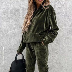 Women's Solid Color Velvet Hoodie Top And Pants Set  $10.94